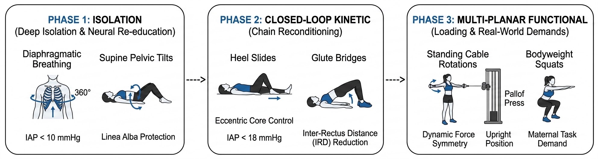 A horizontal three-phase progression diagram for Lite Motion. Phase 1: Isolation (Breathing, Pelvic Tilts). Phase 2: Closed-Loop Kinetic (Heel Slides, Bridges). Phase 3: Multi-Planar Functional (Cable Rotations, Squats).